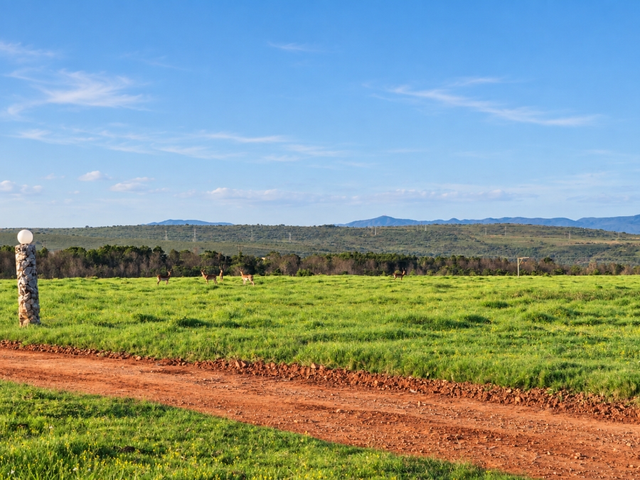 0 Bedroom Property for Sale in Kabeljauws Eastern Cape